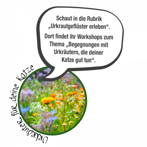 Urkrautgeflüster | Petra Beckers Logo